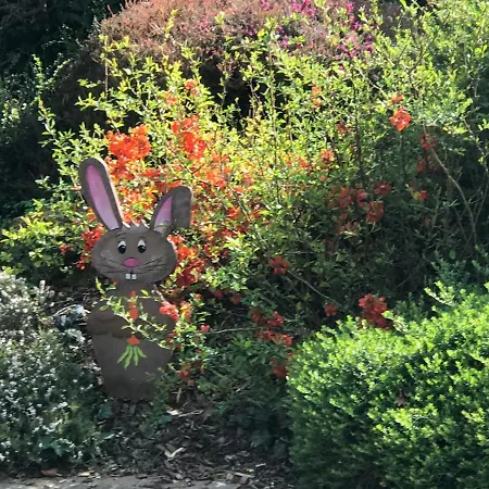 Bien Et Détente Chez Côté Campagne Et Jardin Ohnenheim